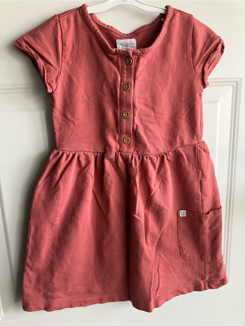 Little planet organic cotton pink dress 5T